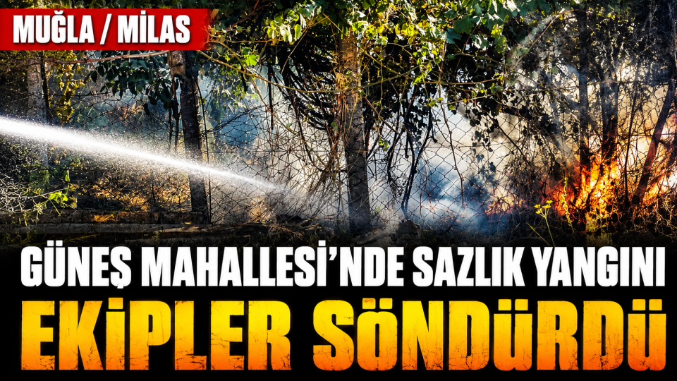 Milas Güneş Mahallesi’ndeki sazlık yangını ekiplerce söndürüldü